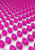 Large group of pink piggy banks in rows, illustration