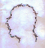 Barbed wire forming outline of head, illustration