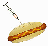 Syringe injecting fluid into hot dog, illustration