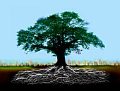 Tree with roots below ground with skyline, illustration