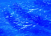 Water surface sparkling on sunny day, illustration