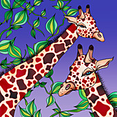 Giraffes, illustration