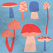 Collection of mushrooms, illustration
