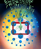 Binary code data around tree, illustration