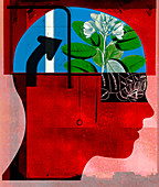 Flower growing inside of human head, illustration