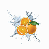 Water splashing around oranges, illustration