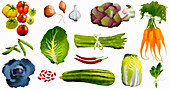 Assortment of fresh vegetables, illustration