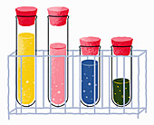 Test tubes containing different chemicals, illustration