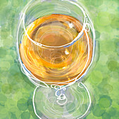 Close up of white wine in wine glass, illustration