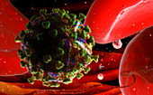 HIV virus in bloodstream, illustration