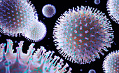 Flu virus particles, illustration