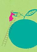 Woman on ladder watering large apple, illustration