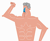 Macho man flexing muscles, illustration