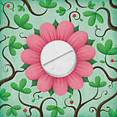Pill in the centre of a flower, illustration