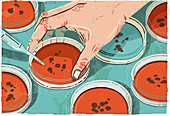 Scientist working with bacteria, illustration