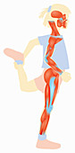 Girl stretching leg muscles, illustration