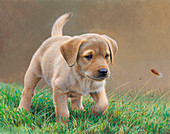 Yellow labrador puppy chasing feather in grass, illustration