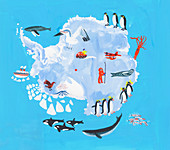 Map of Antarctica, illustration