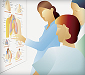 Doctor explaining chest problem, illustration