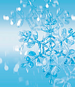 Snowflake, illustration