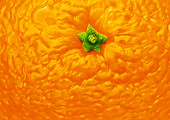Orange peel, illustration