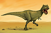 Fierce Tyrannosaurus Rex, illustration