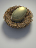Nest with large golden egg, illustration