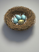 Nest with golden egg among blue eggs, illustration