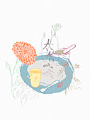 Chinese herbal medicine, illustration