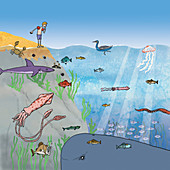 Fear of sea life, conceptual illustration