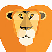Lion, illustration