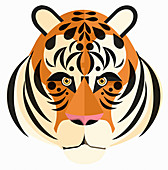 Tiger, illustration