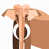 Elephant, illustration