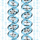 Genetics and Morse code, conceptual image
