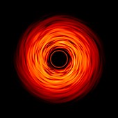 Optical distortion around a black hole, simulation