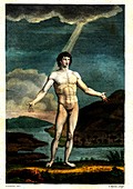 Physical and moral system of man, 18th century