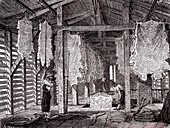 Leather tanning industry, 19th century