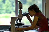 University student looking through microscope