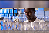 Researcher in lab