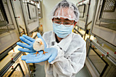 Scientist with chick