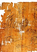 Artemidorus papyrus