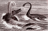 Ichthyosaurus and Plesiosaurus, 19th-century illustration