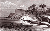Teleosaurus and Hylaeosaurus reptiles, 19th century