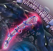 Nanotube inside a cell, illustration