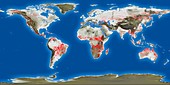 Global fire hot spots from 1996 to 2010, satellite map