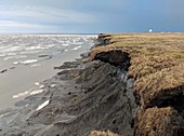 Eroding permafrost coastline in Alaska, 2018