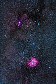 Rosette nebula and Christmas Tree cluster