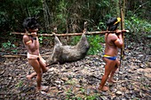 Xingu hunters with catch, Brazil