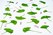 Ginkgo leaves and ginkgo supplements