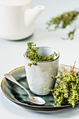 Herbal tea of thyme